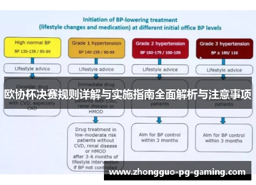 欧协杯决赛规则详解与实施指南全面解析与注意事项