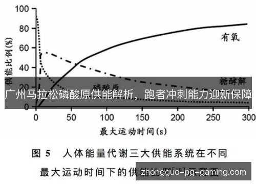 广州马拉松磷酸原供能解析，跑者冲刺能力迎新保障